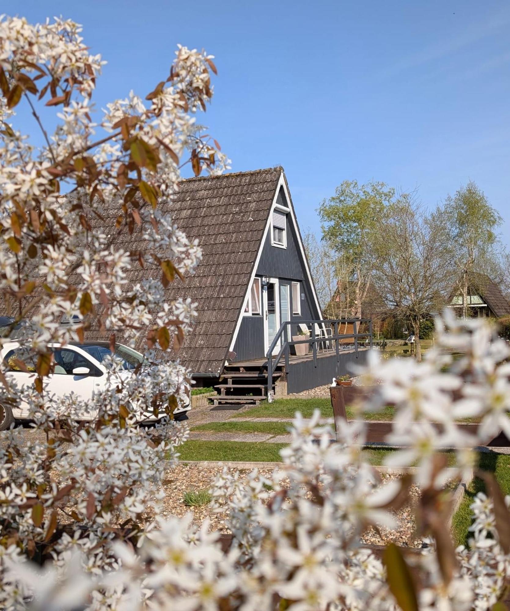 Ferienhaus Brungers Südbrookmerland 外观 照片